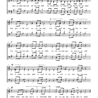 Saebelmann Ruubel Kaunimad laulud segakoor mixed choir pilt image